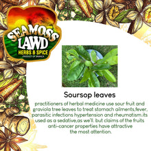 Load image into Gallery viewer, Soursop leaves