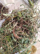 Load image into Gallery viewer, Medina herbs