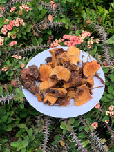 Load image into Gallery viewer, Chaney Roots cocoamuca