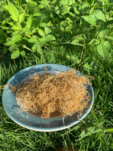 Load image into Gallery viewer, Wildcrafted Gracilaira gold seamoss