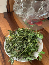 Load image into Gallery viewer, Copy of Spanish Niddle ,chomomile herbs