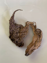 Load image into Gallery viewer, Duck flowers