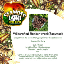 Load image into Gallery viewer, Wildcrafted Bladder wrack(Seaweed)
