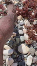 Load and play video in Gallery viewer, Fortyleg Sea moss
