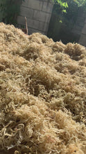 Load and play video in Gallery viewer, Wildcrafted Irish moss golden round
